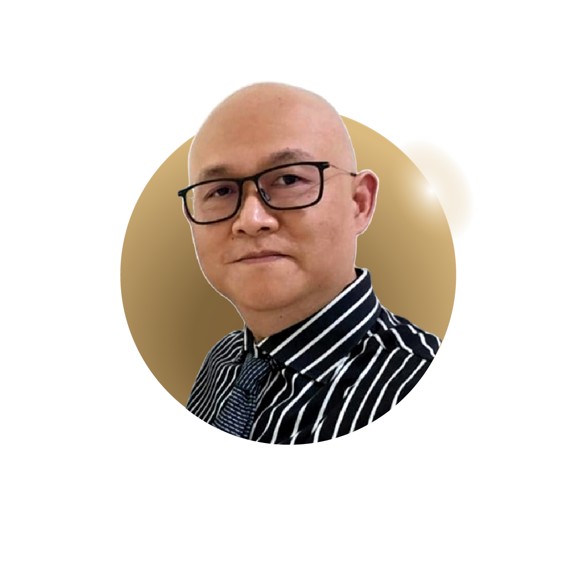 Mulyo Santoso profile photo